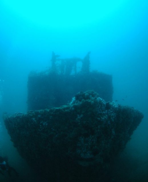 Wreck Draga, underwater photo 2