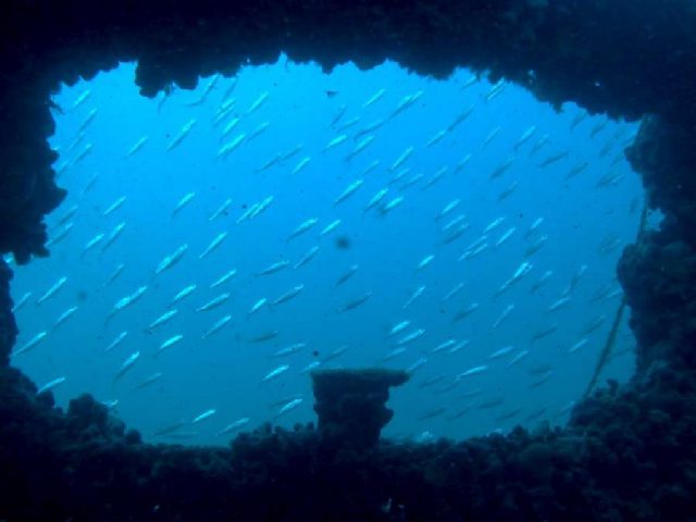Wreck Baron Gautsch, underwater photo 2
