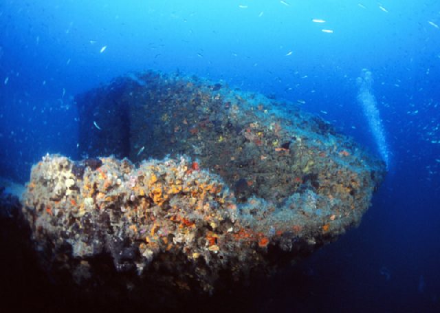 Wreck Hans Schmidt, underwater photo 2