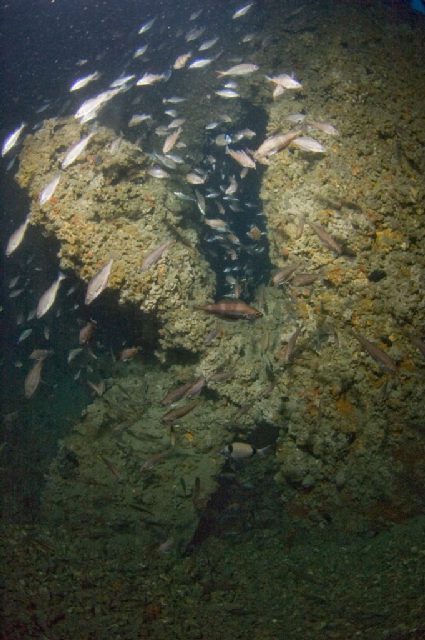 Wreck Luana, underwater photo 2