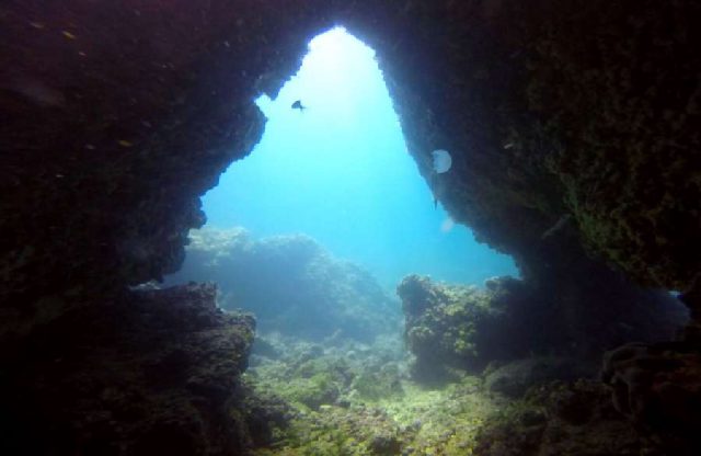 Reef Kanjon, underwater photo 3