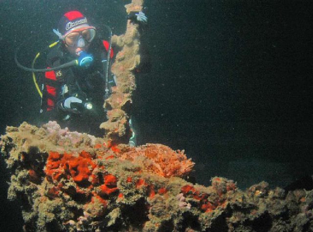 Diving Pula, Underwater 5