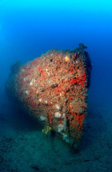 Diving Pula, Underwater 8