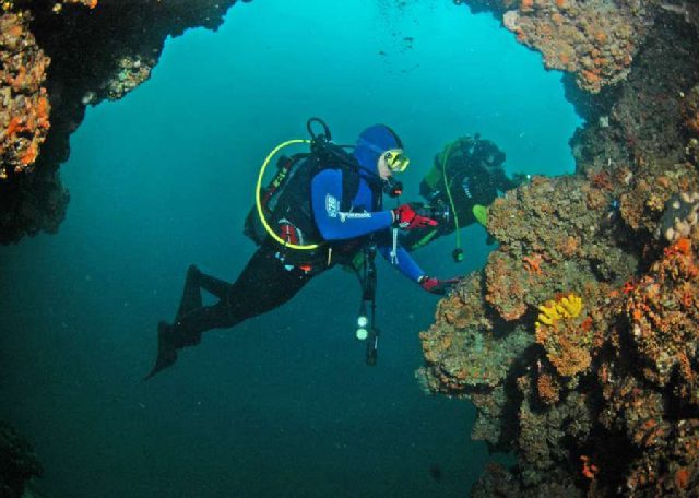 Diving Pula, Underwater 38