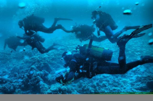 Diving Pula, Underwater 41
