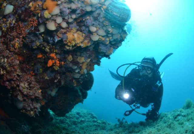 Diving Pula, Underwater 33