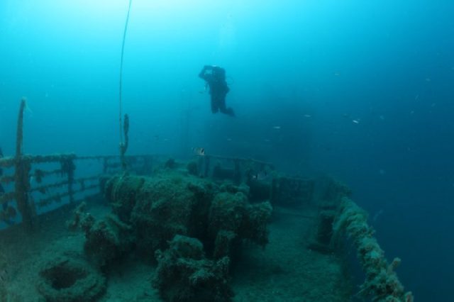 Diving Pula, Underwater 12