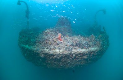 Diving Pula, Underwater 3