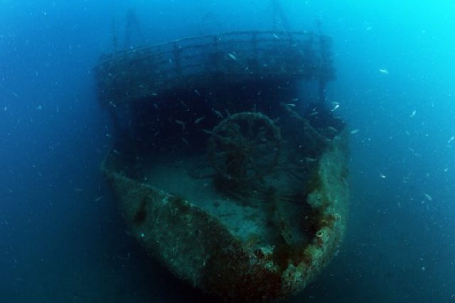 Diving Pula, Underwater 10