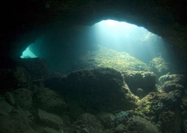 Diving Pula, Underwater 45